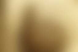 Фотографія квесту Таємниці да Вінчі від компанії IQuest (Фото 1)