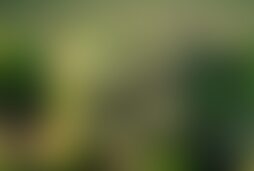 Фотографія квесту Игроленд від компанії IQuest (Фото 1)