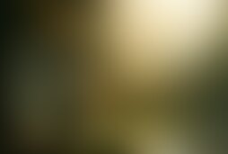 Фотографія квесту Хижина хоббита від компанії IQuest (Фото 1)