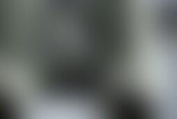 Фотографія квесту Джеймс Бонд від компанії IQuest (Фото 1)